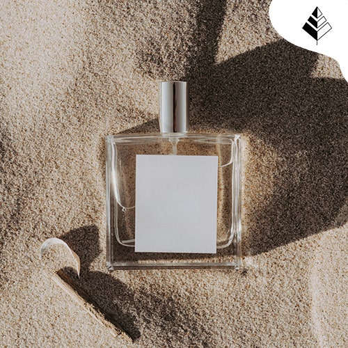 Profumi che Sanno di Mare Estate 2026