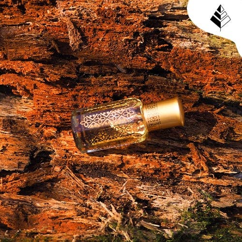 Migliori Profumi Oud per l'Autunno