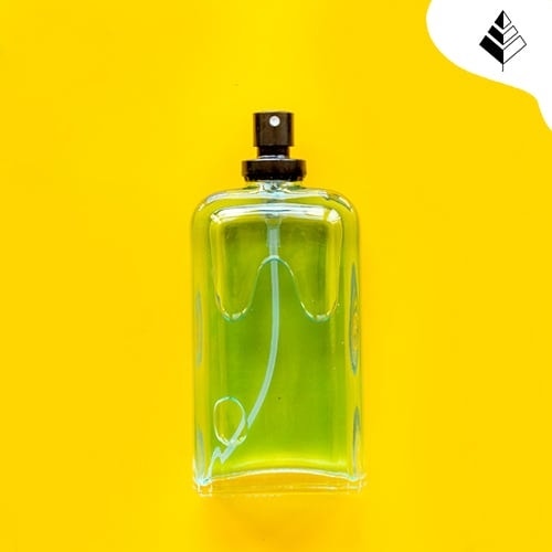 Profumi Donna Freschi