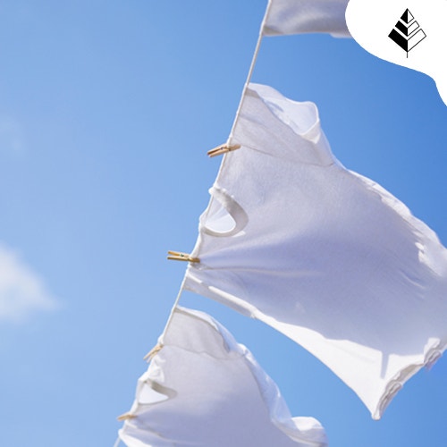 Profumi che sanno di pulito