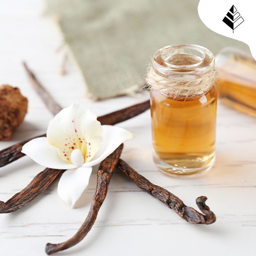 Profumi alla Vaniglia Autunno 2024