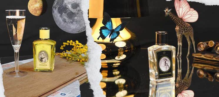 Dare to Smell Dare to Smell