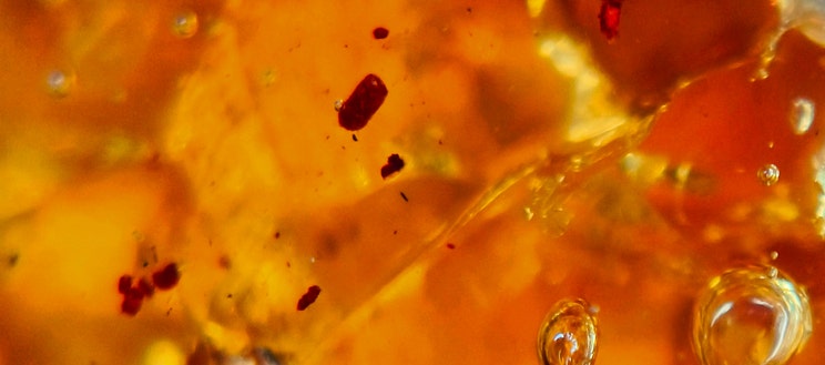 Harzige Düfte Harzige Düfte