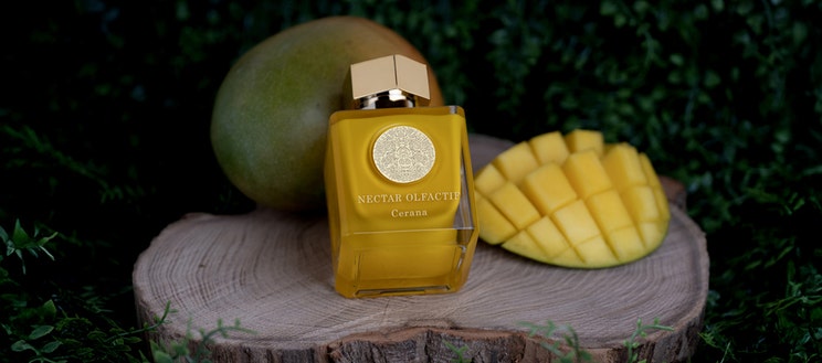 Nectar Olfactif Nectar Olfactif