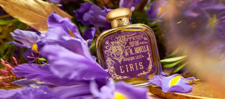 Santa Maria Novella Santa Maria Novella