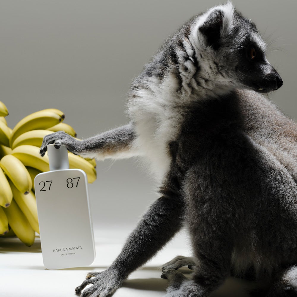 27 87 Hakuna Matata Eau De Parfum, Fruity Perfume | 50 ml