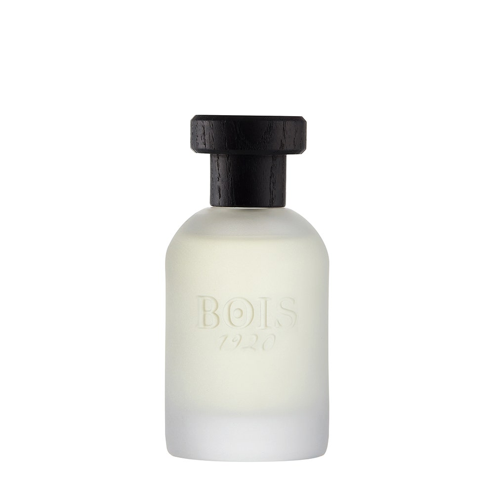 Bois 1920 - Classic 1920 Eau de Parfum 100 ml - Unisex Aromatic Perfume