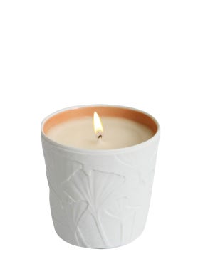 Osmanthe Liu Yuan Candela