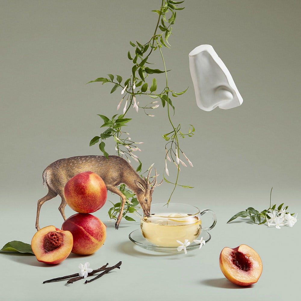 Penhaligon's Artemisia EDP | Shop now on 50 ml