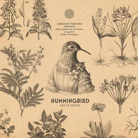 Zoologist Hummingbird Extrait De Parfum, Floral | 50 ml