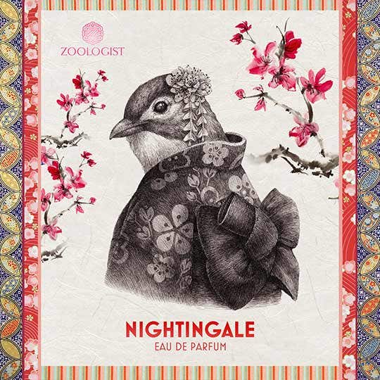Zoologist Nightingale ナイチンゲール　おまけ付き Zoologist Nightingale Extrait De Parfum, Floral | 50 ml