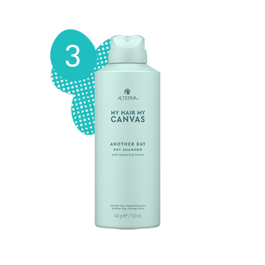 Alterna My Hair My Canva Another Day Dry Shampoo