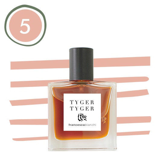 Francesca Bianchi Tyger Tyger